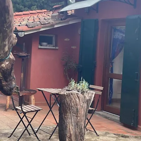 Villa I Fiori Redinoce Procchio (Isola d'Elba)