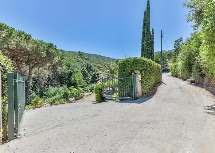 I Fiori Redinoce Procchio (Isola d'Elba)